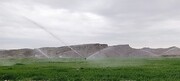۵ هزار هکتار اراضی کشاورزی ایلام آبی شد