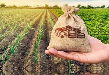 سرمایه صندوق حمایت از کشاورزی کردستان به ۹۵۰ میلیارد ریال رسید