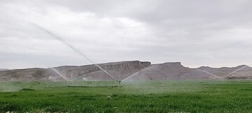 ۵ هزار هکتار اراضی کشاورزی ایلام آبی شد