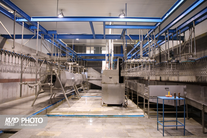 سفر استاندار به مریوان در هشتمین روز از دهه فجر/عکاس:عرفان کرمی