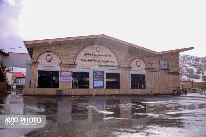 سفر استاندار به مریوان در هشتمین روز از دهه فجر/عکاس:عرفان کرمی