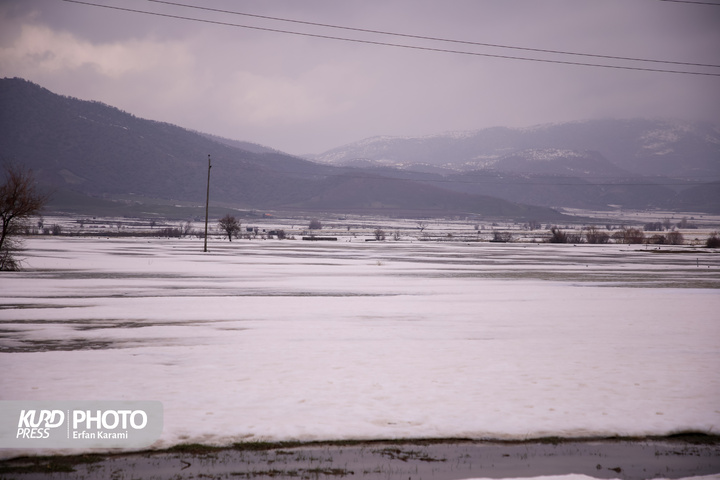 طبیعت برفی مریوان / عکاس : عرفان کرمی