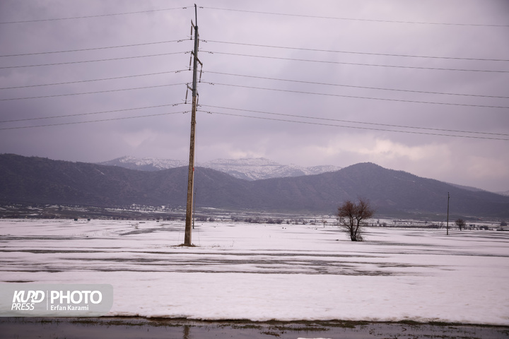 طبیعت برفی مریوان / عکاس : عرفان کرمی