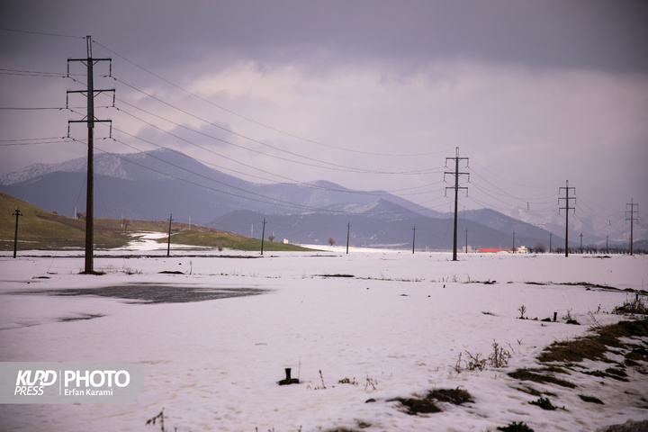 طبیعت برفی مریوان / عکاس : عرفان کرمی