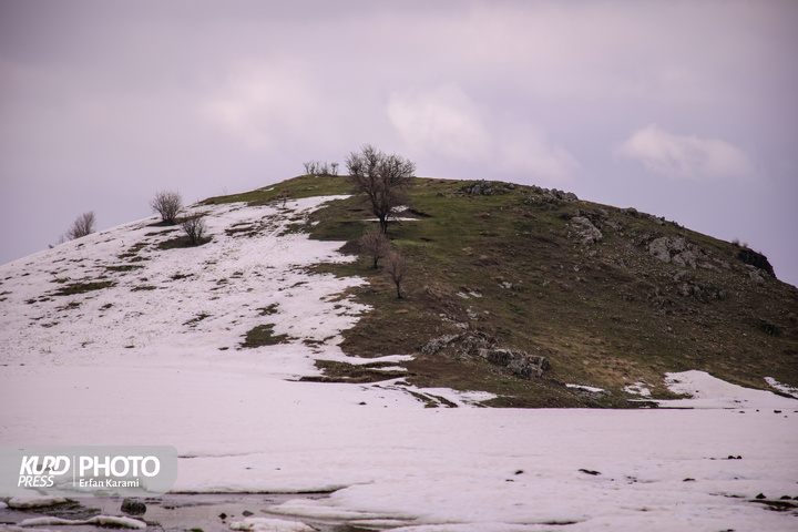 طبیعت برفی مریوان / عکاس : عرفان کرمی