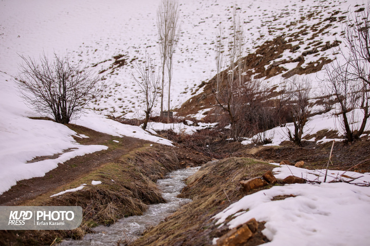 طبیعت برفی مریوان / عکاس : عرفان کرمی