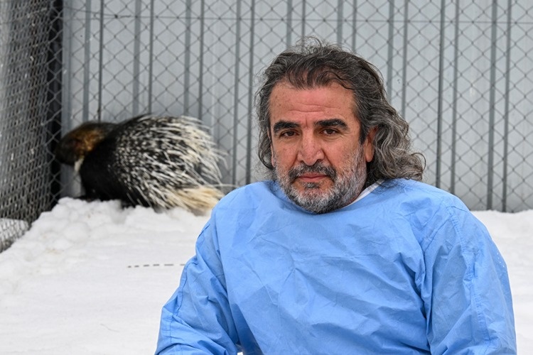 مشاهده و نجات یک گونه نادر و زیبای حیات وحش در دل کردستان ترکیه