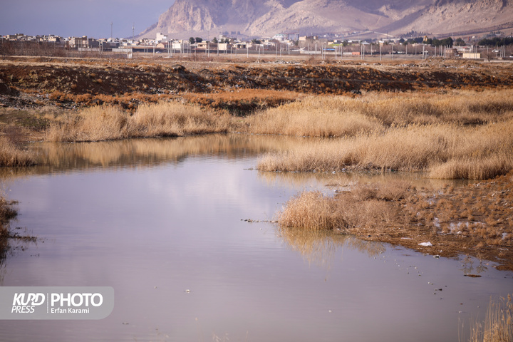 قره سو ، گرفتار در بحران فراموشی / عکاس : عرفان کرمی