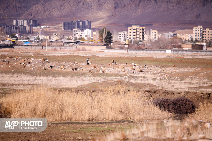قره سو ، گرفتار در بحران فراموشی / عکاس : عرفان کرمی