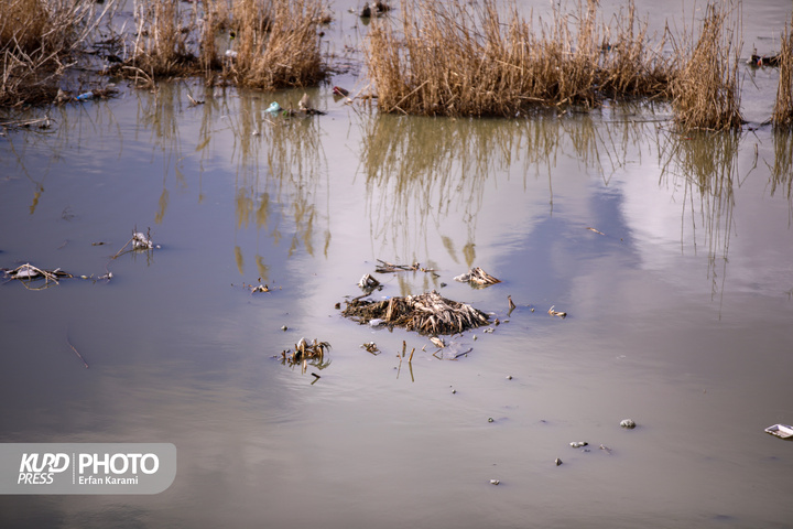 قره سو ، گرفتار در بحران فراموشی / عکاس : عرفان کرمی