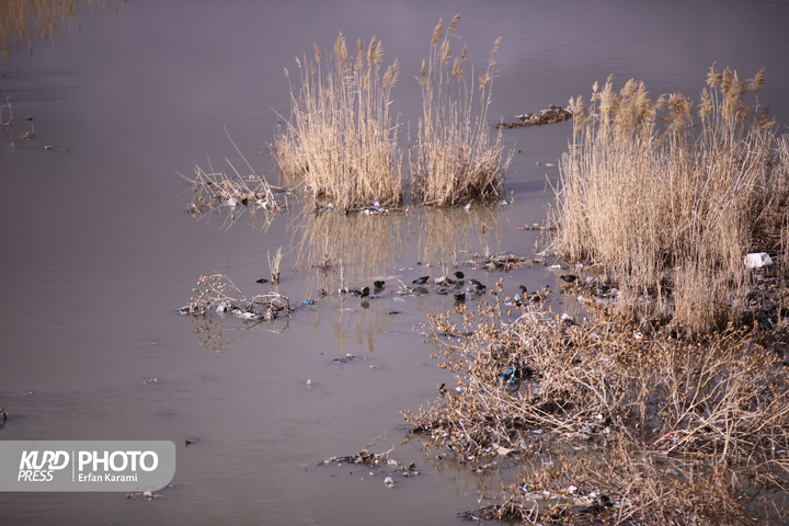 قره سو ، گرفتار در بحران فراموشی / عکاس : عرفان کرمی