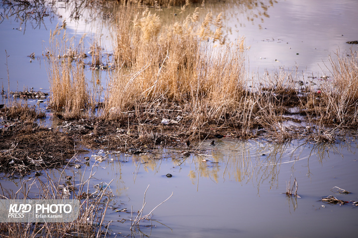 قره سو ، گرفتار در بحران فراموشی / عکاس : عرفان کرمی