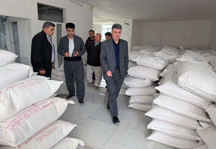 کمبودی در تأمین آرد و مواد غذایی وجود ندارد