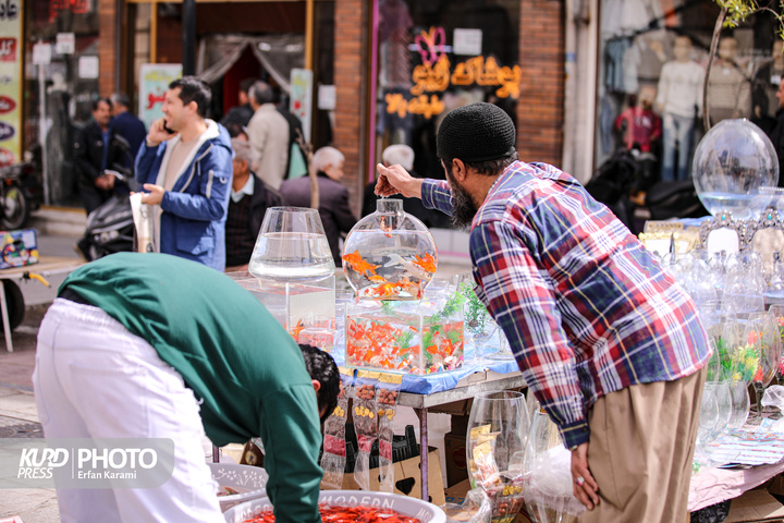 زندگی همچنان در زیر سایه جنگ هم می تپد / عکاس : عرفان کرمی