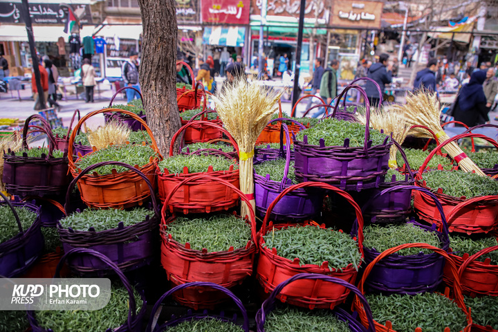 زندگی همچنان در زیر سایه جنگ هم می تپد / عکاس : عرفان کرمی