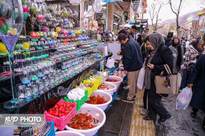 زندگی همچنان در زیر سایه جنگ هم می تپد / عکاس : عرفان کرمی