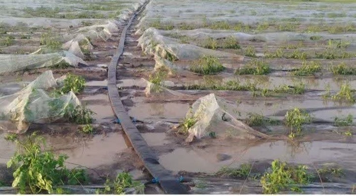 خسارت ۵۰ میلیارد تومانی سیلاب و تگرگ به زیرساخت‌های کشاورزی دهلران