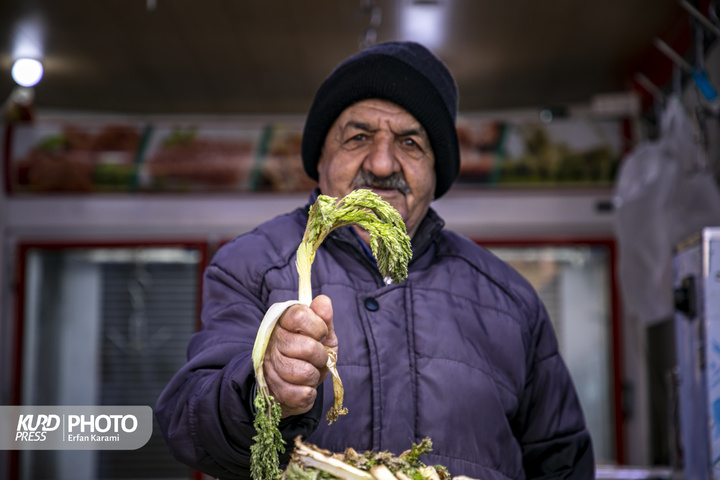 بازار گیاهان خوراکی و دارویی فصل بهار در سنندج / عکاس : عرفان کرمی