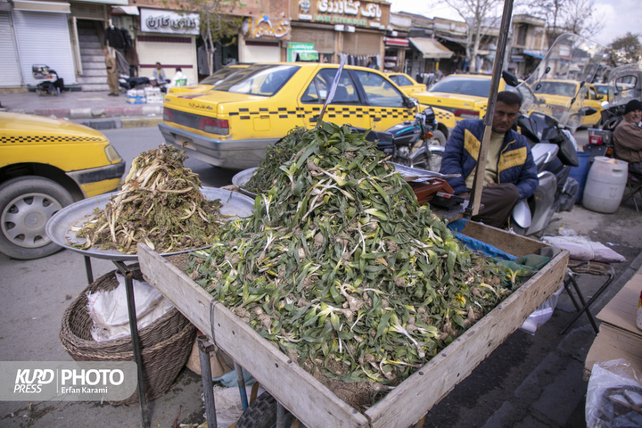 بازار گیاهان خوراکی و دارویی فصل بهار در سنندج / عکاس : عرفان کرمی