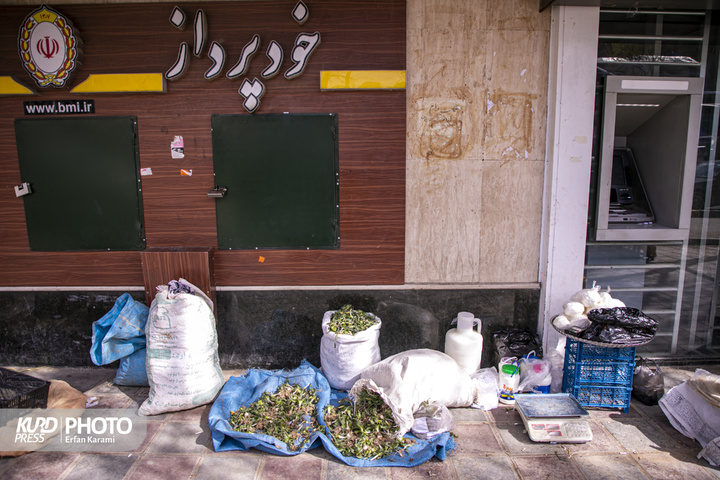 بازار گیاهان خوراکی و دارویی فصل بهار در سنندج / عکاس : عرفان کرمی