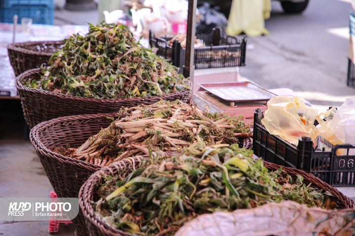 بازار گیاهان خوراکی و دارویی فصل بهار در سنندج / عکاس : عرفان کرمی