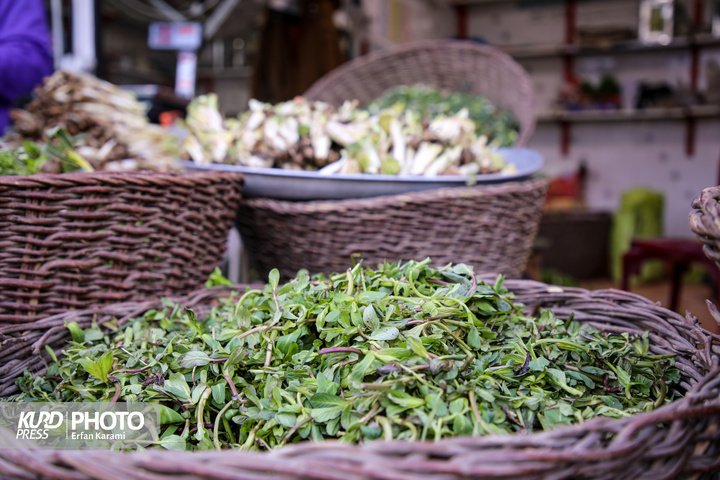 بازار گیاهان خوراکی و دارویی فصل بهار در سنندج / عکاس : عرفان کرمی