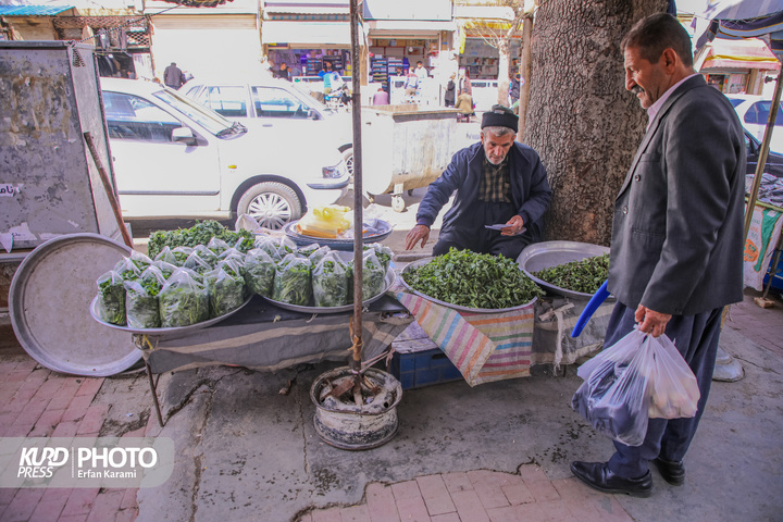 بازار گیاهان خوراکی و دارویی فصل بهار در سنندج / عکاس : عرفان کرمی