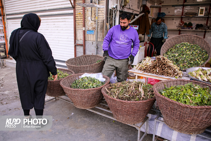 بازار گیاهان خوراکی و دارویی فصل بهار در سنندج / عکاس : عرفان کرمی