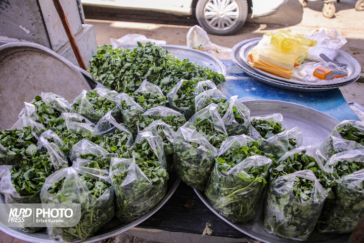 بازار گیاهان خوراکی و دارویی فصل بهار در سنندج / عکاس : عرفان کرمی