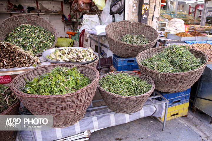بازار گیاهان خوراکی و دارویی فصل بهار در سنندج / عکاس : عرفان کرمی