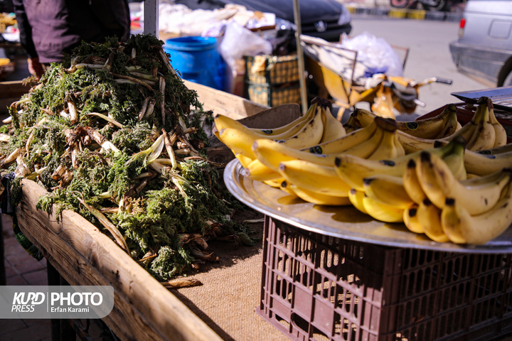 بازار گیاهان خوراکی و دارویی فصل بهار در سنندج / عکاس : عرفان کرمی