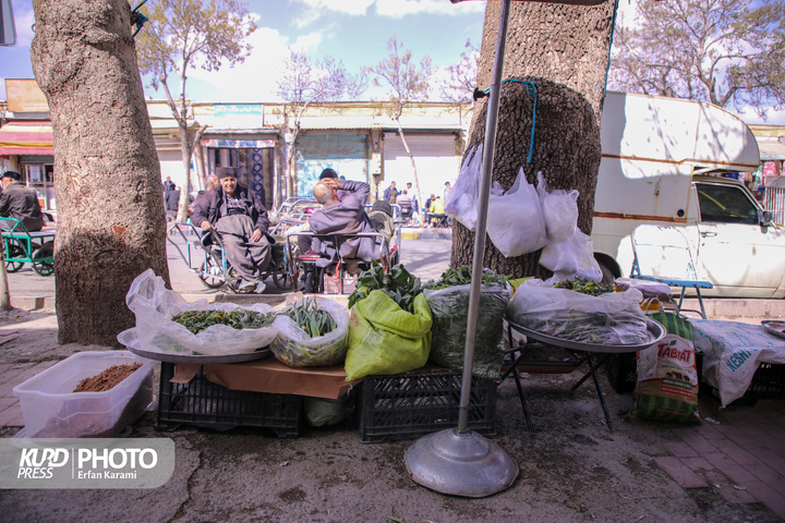 بازار گیاهان خوراکی و دارویی فصل بهار در سنندج / عکاس : عرفان کرمی