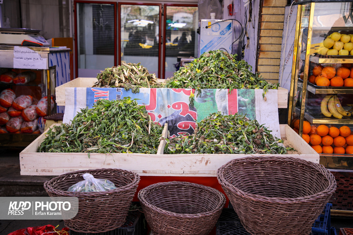 بازار گیاهان خوراکی و دارویی فصل بهار در سنندج / عکاس : عرفان کرمی