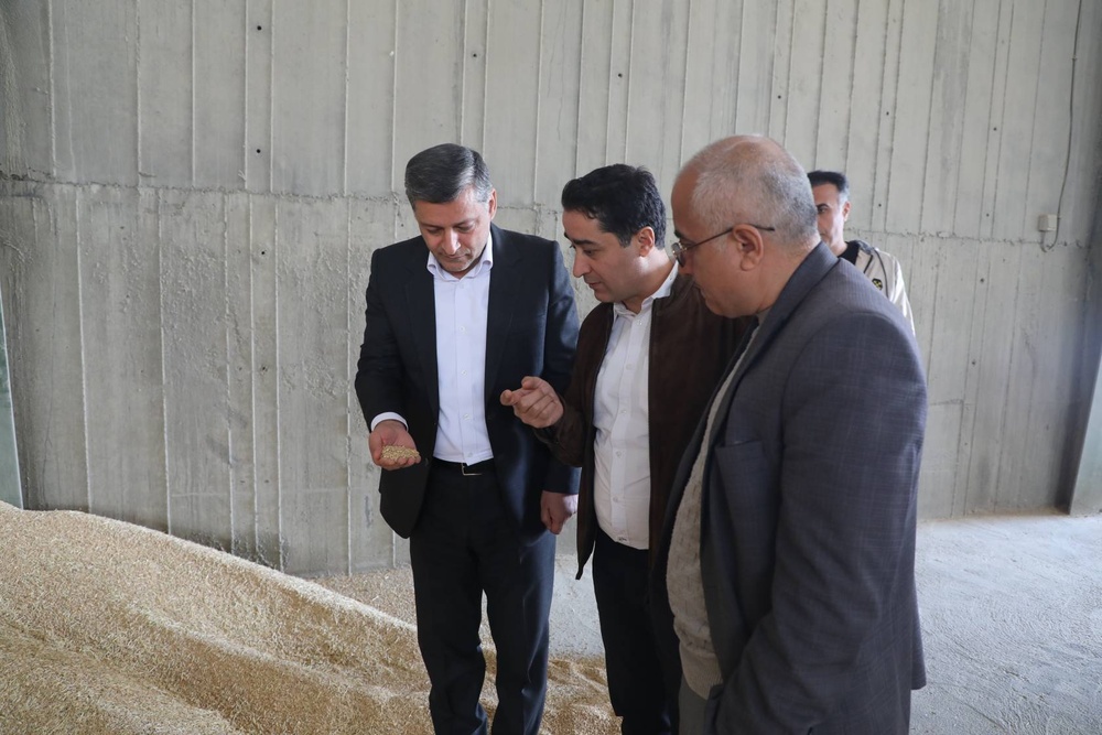 تأمین پایدار آرد در کردستان؛ هیچ کمبودی وجود ندارد/ بازدیدهای سرزده از کارخانهها ادامه دارد