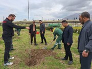 برگزاری پویش کاشت نهال در فرودگاه کرمانشاه 