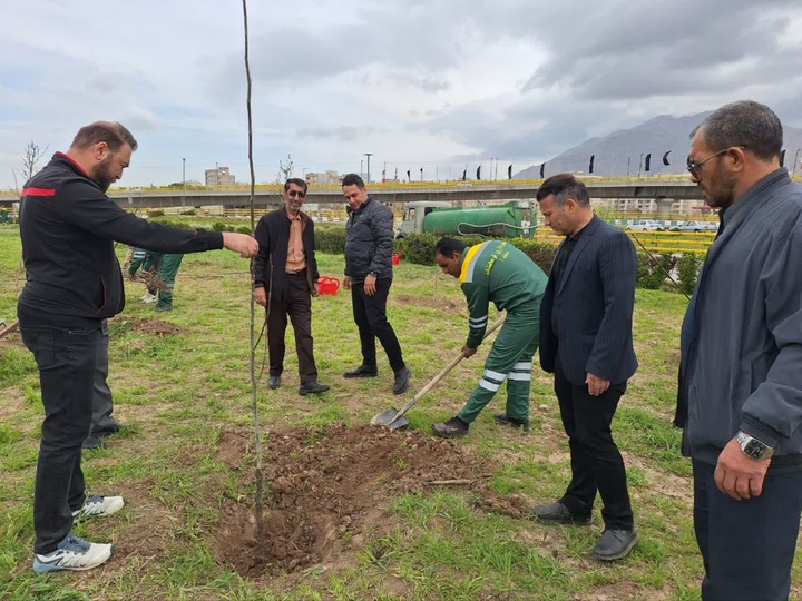 برگزاری پویش کاشت نهال در فرودگاه کرمانشاه 