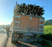 توقیف یک محموله چوب غیرمجاز در اسلام آبادغرب