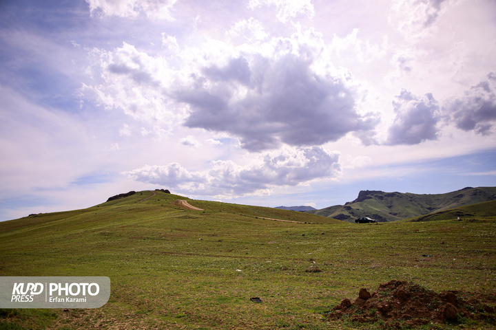 طبیعت بهاری سنندج / عکاس : عرفان کرمی