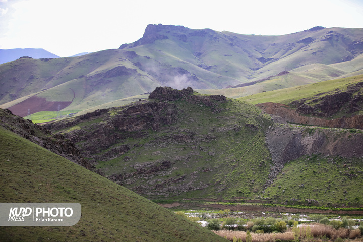 طبیعت بهاری سنندج / عکاس : عرفان کرمی