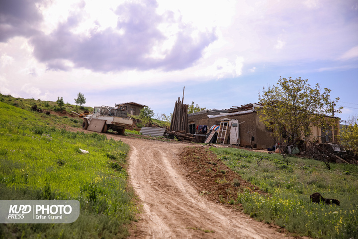 طبیعت بهاری سنندج / عکاس : عرفان کرمی