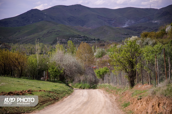 طبیعت بهاری سنندج / عکاس : عرفان کرمی