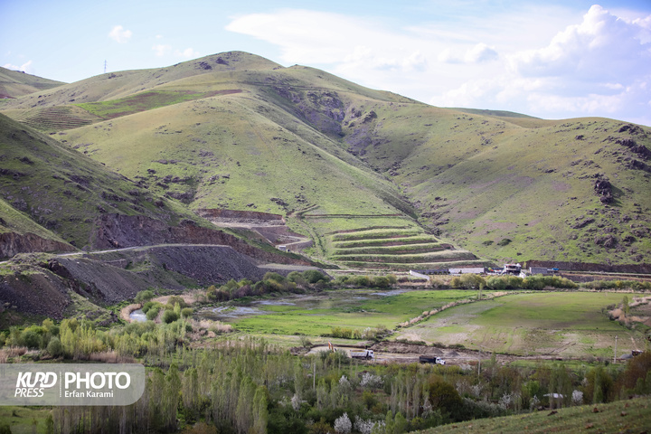 طبیعت بهاری سنندج / عکاس : عرفان کرمی