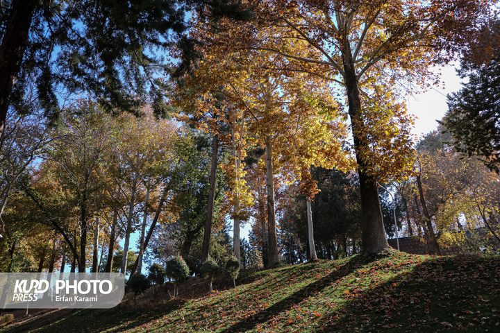 سنه، تصویری از زندگی، فرهنگ و اصالت / عکاس : عرفان کرمی