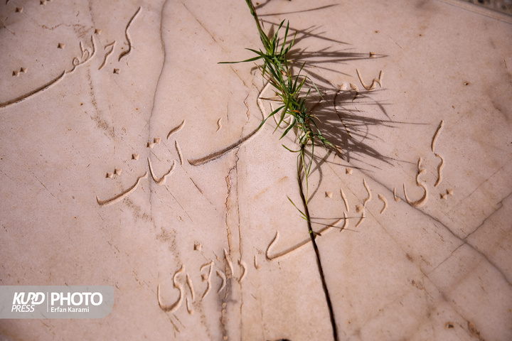 تپه و گورستان شرف الملک ( تپه شیخ محمد باقر ) سنندج / عکاس : عرفان کرمی