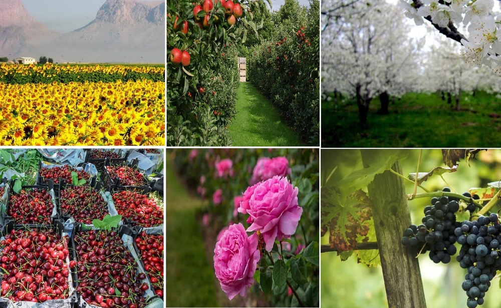 آذربایجان غربی؛ بهشت گردشگری کشاورزی