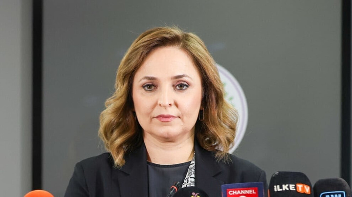بڕیاری دادگا لەدژی CHP کارێکی سیاسییە و دژ بە بنەماکانی دیموکراسییە