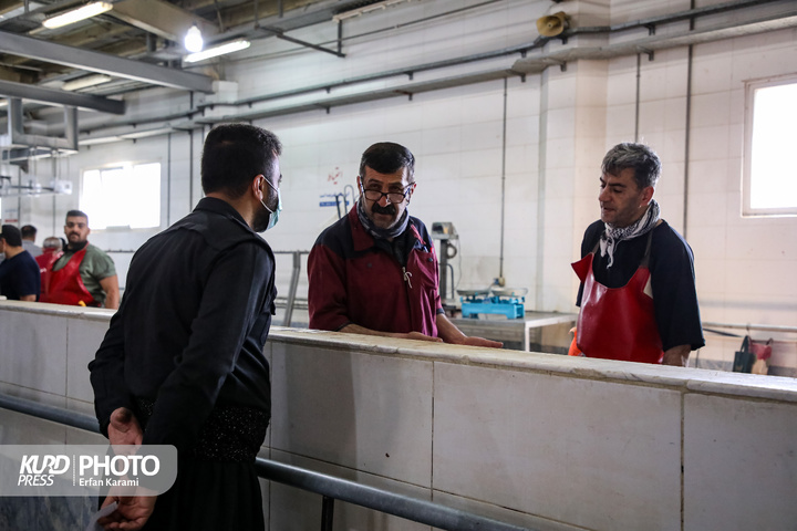 فعالیت کشتارگاه دام سنندج در روز عید قربان / عکاس : عرفان کرمی
