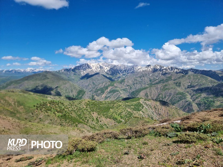 عکس طبیعت