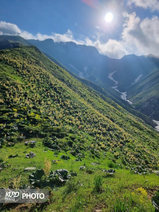 عکس طبیعت
