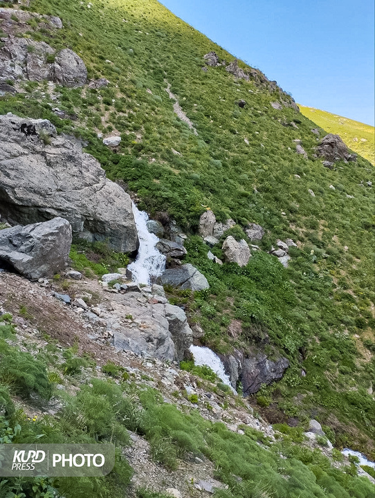 چهل چشمه
